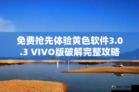 3.0.3 免费 vivo 版破解大全：实用资源汇总