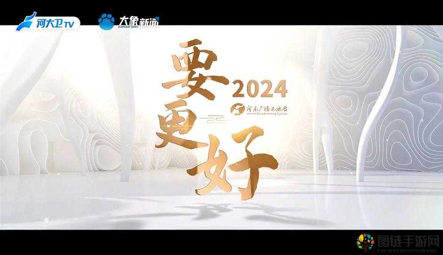 满 18 岁用户安全进入 2024 大象平台要点