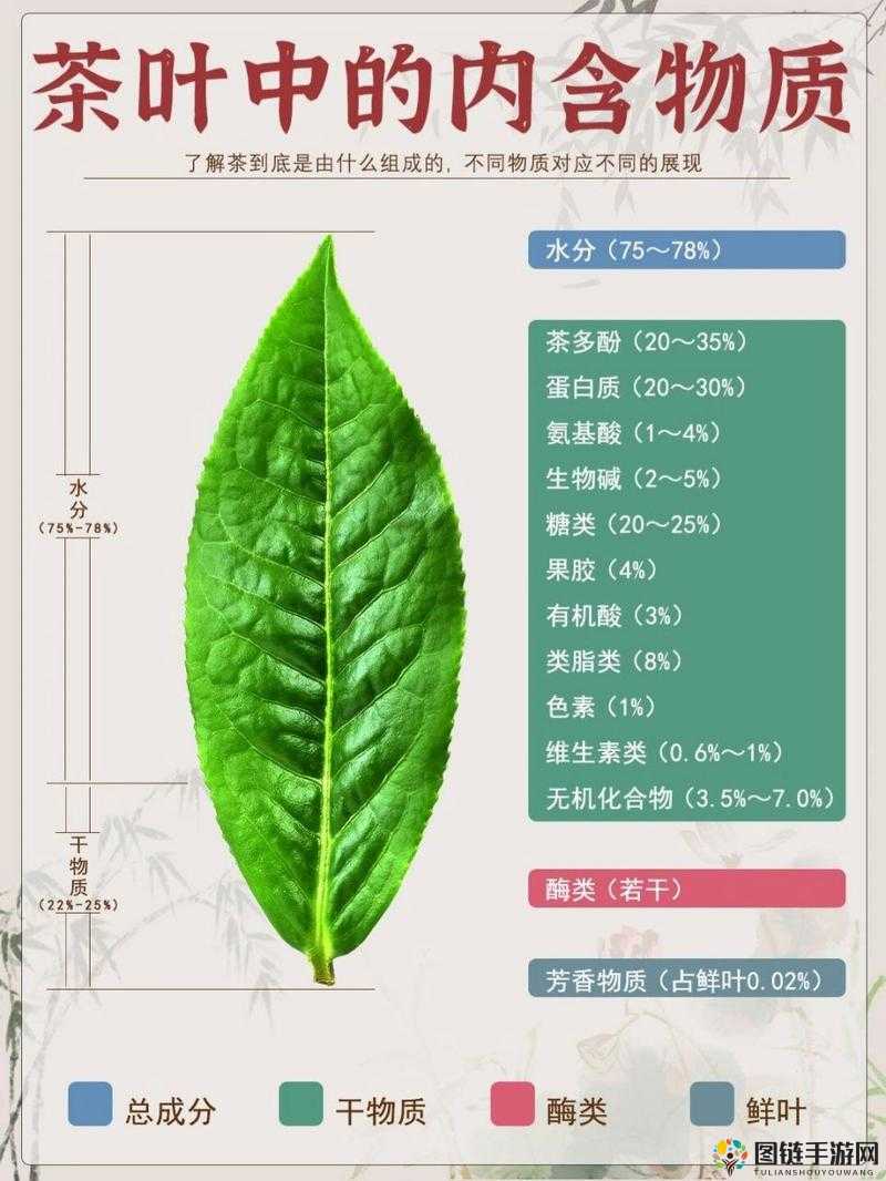 缺一不可 1v3 怎么理解：深度剖析其内涵