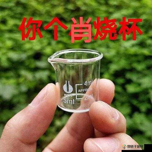 超市小烧杯设你小学里：独特的存在